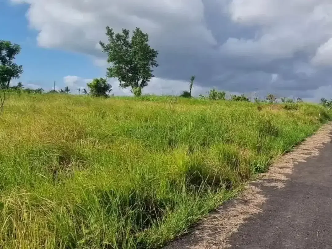 Tanah Langka Plot Kecil Hanya 200 meter ke Pantai Pererenan Canggu - Image 1 of 7