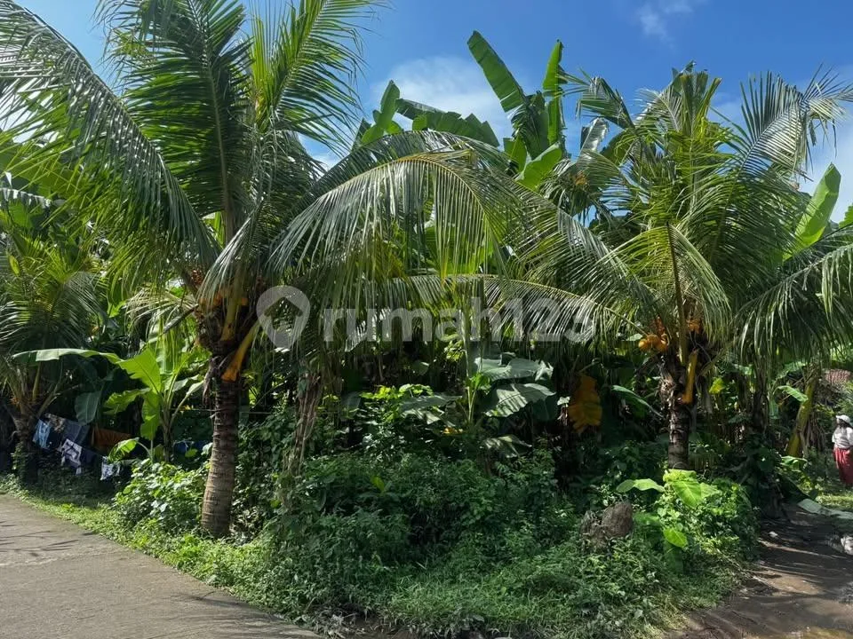 Dijual Tanah di Klungkung - Dekat Goa Lawah - Image 4 of 4