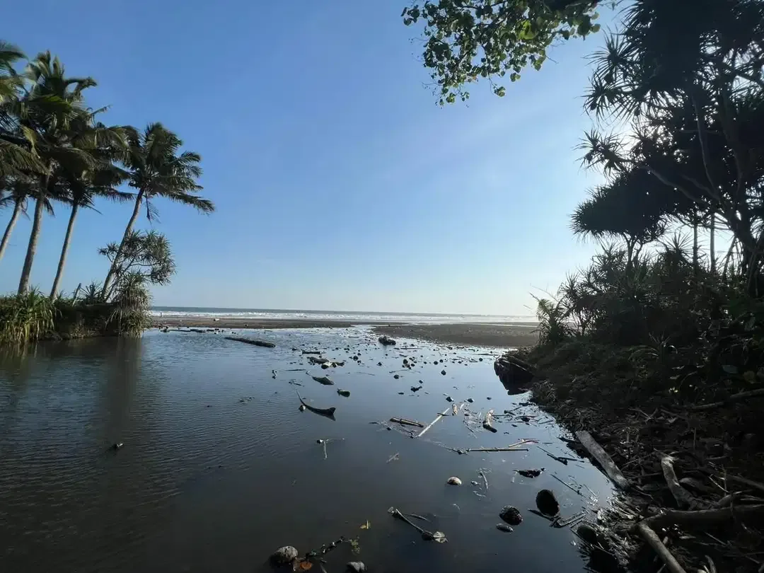Dijual Tanah Langka Los Pantai dan Sungai di Balian Beach Tabanan - Image 4 of 10