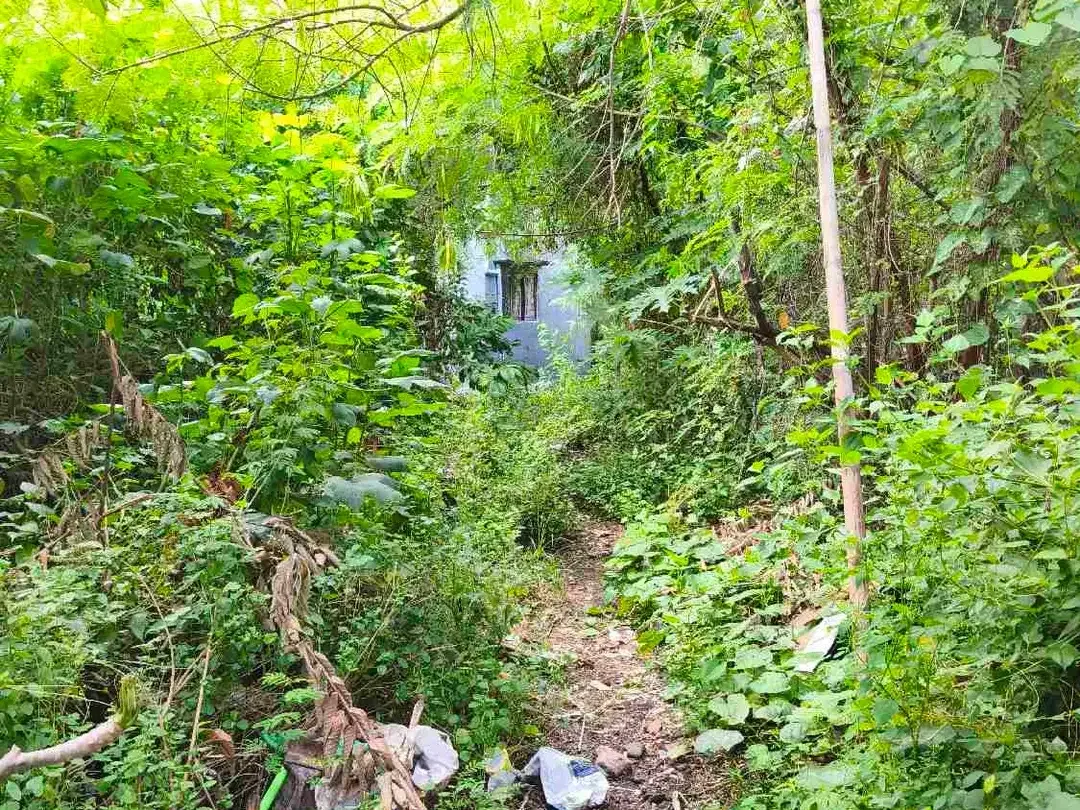 dijual tanah 510m²/5,10 are IDR 700 juex per are Kawasan bypass & McDonald's jimbaran Badung Bali - Image 9 of 10
