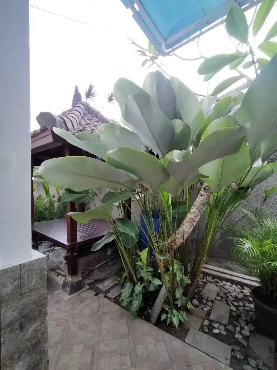 Rumah murah di pecatu,lingk perumahan,hanya 50 mtr dari jalan utama - Image 6 of 10