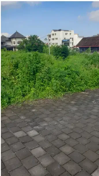 Tanah Murah di Berawa Canggu - Image 4 of 10