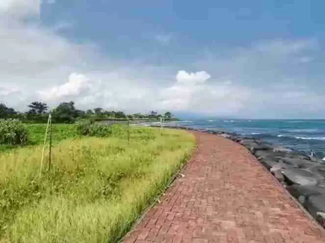 Tanah Murah Los Pantai Ketewel 1975m2 SHM - Image 10 of 10