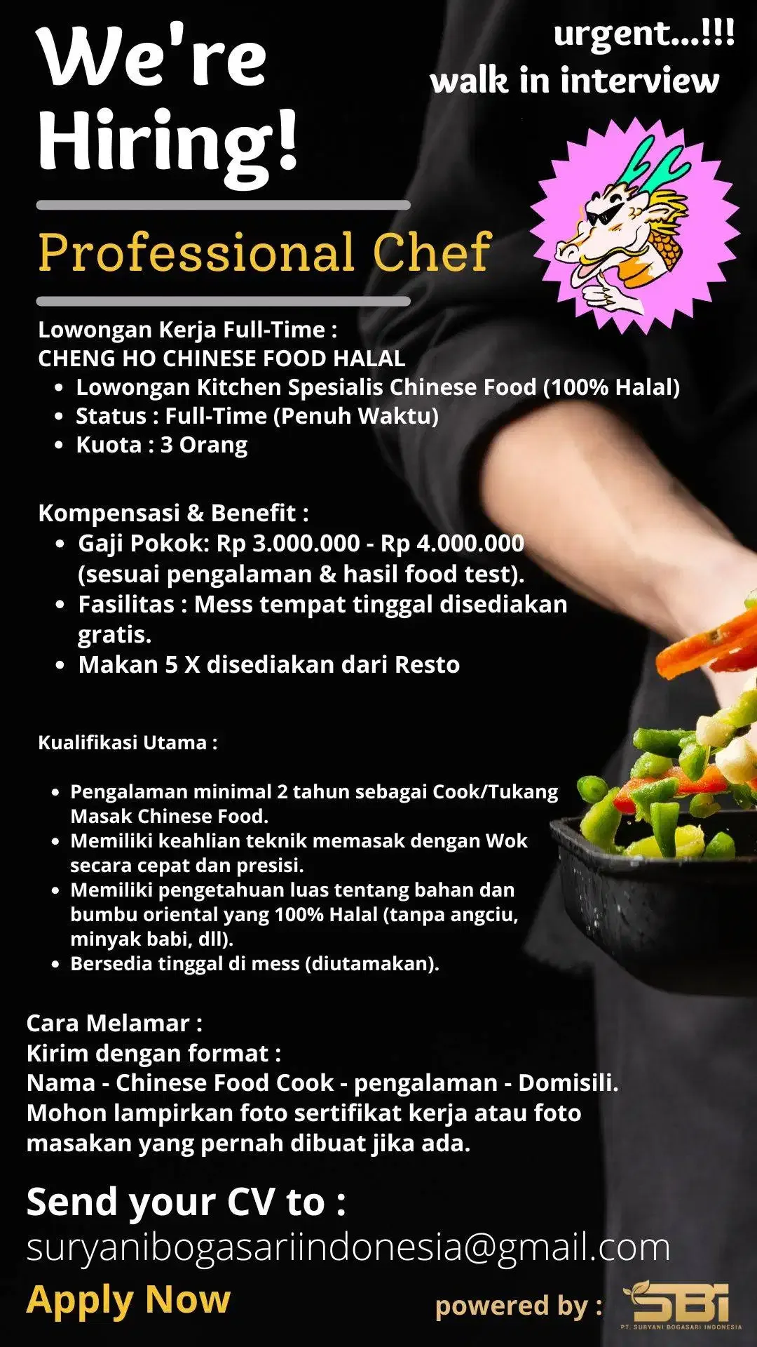 LOWONGAN KERJA UTAMA: Chef Spesialis Chinese Food Halal (Full-Time) - Image 1 of 1