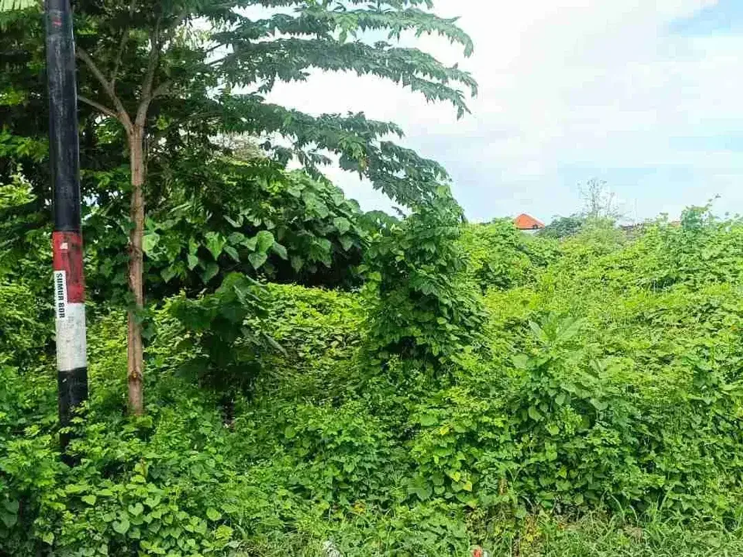 Tanah Komersial Lebar Depan 19 Meter di Pamogan - Image 10 of 10