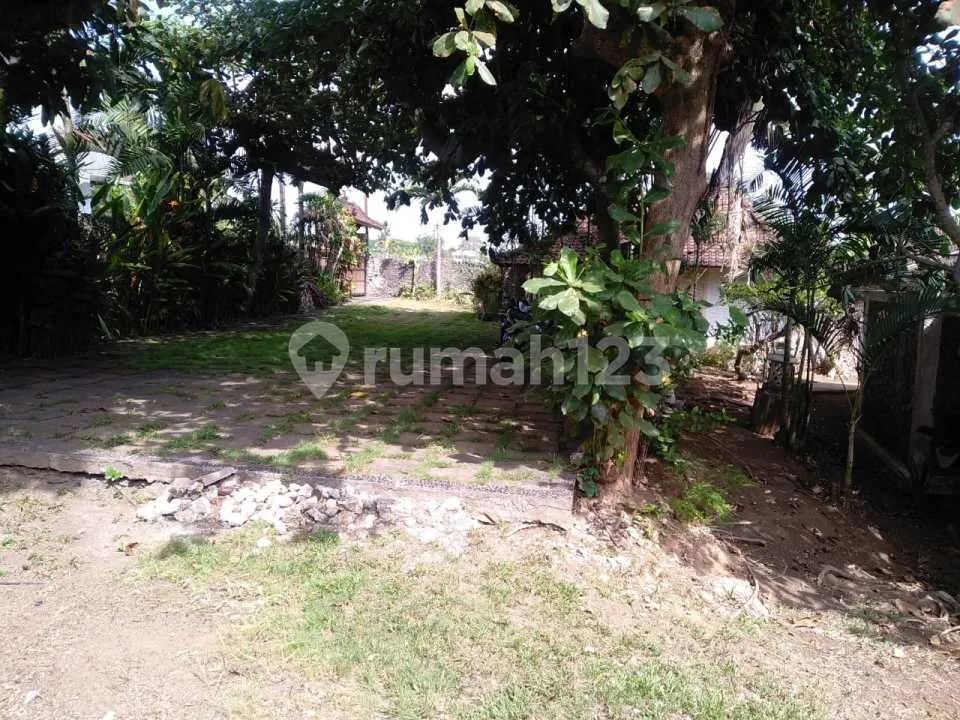 Tanah Bonus Bangunan Villa Area Banjar Semer Umalas Dekat Canggu dan Seminyak - Image 3 of 4