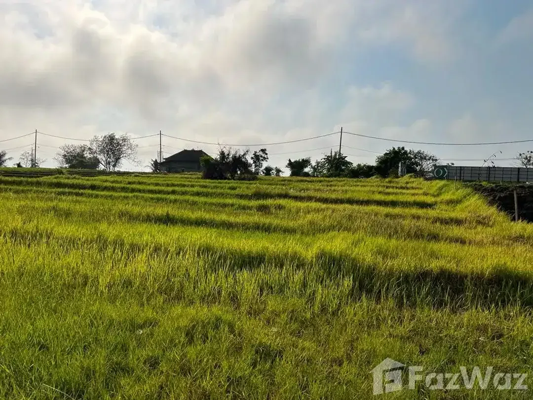 Land for sale in Cemagi, Bali - Image 4 of 7
