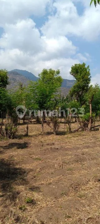 For Sale Land 12 Are With Fantastic Moutain View And Close To The Beach In Pemuteran - Image 2 of 4