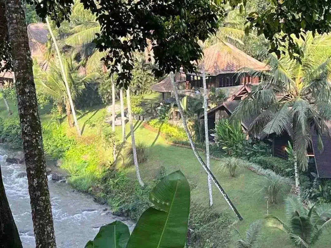 Tanah Komersial Los Sungai Ayung Dekat Mandapa Ubud - Image 9 of 10