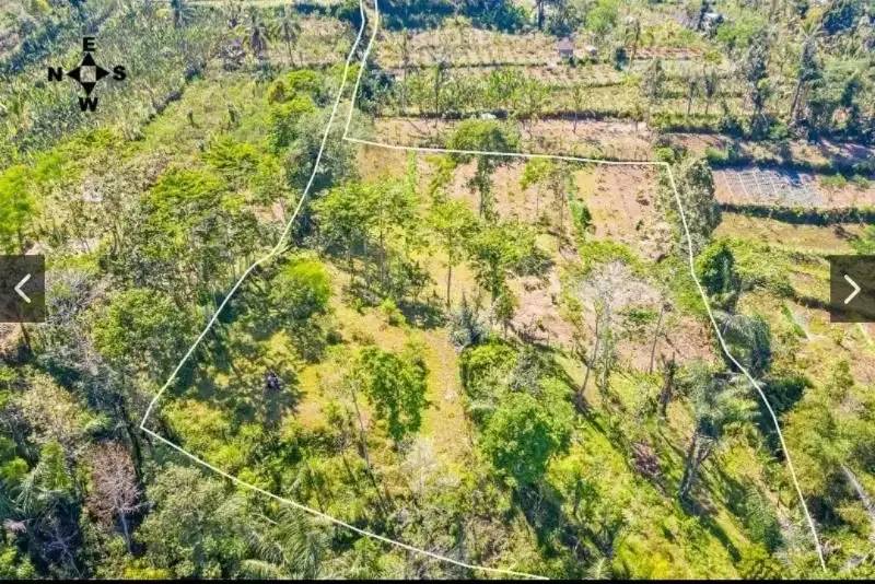 Dijual Tanah Payangan Kerta Untuk Retreat atau Kebun Organik - Image 5 of 7