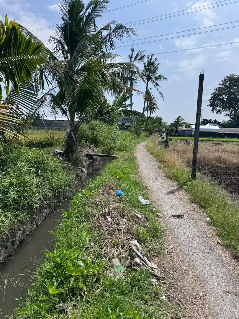 BUC 40 mnit ke Canggu - Image 2 of 4