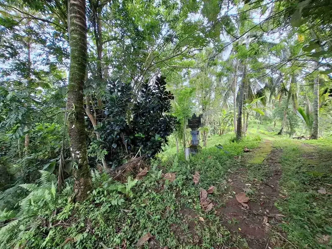 Dijual tanah murah los sungai dekat villa di bali - Image 9 of 10