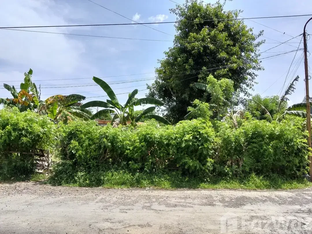 Land for sale in Padang Padang, Bali - Image 3 of 5