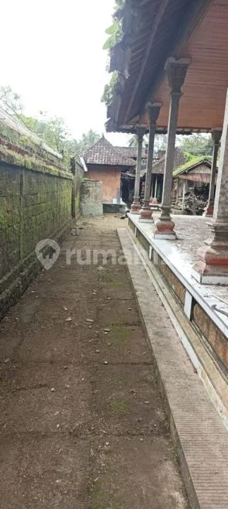 Ruko + Rumah - Jl Denpasar Raya - Mengwi - Badung - Bali - Image 2 of 4