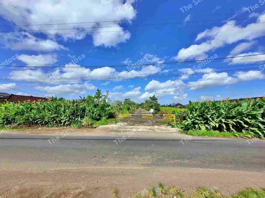 Tanah Pantai Kedungu dekat pantai view sawah lingkungan villa - Image 8 of 10