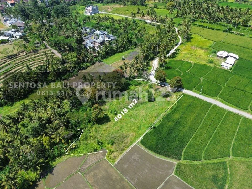 Tanah View Sawah di Lodtunduh Ubud 4018MÂ² - Image 2 of 4