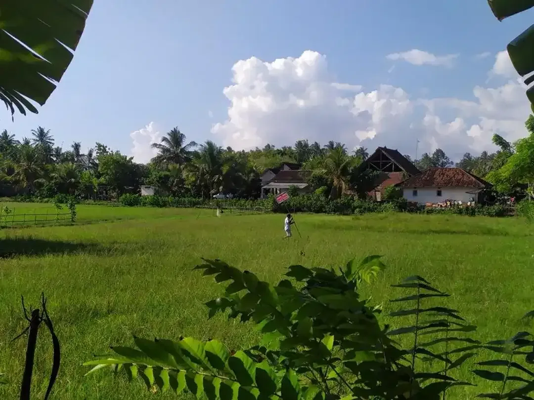Dijual Tanah Hook Position & Tourism Zone, Los Pantai di Pebuahan – Investasi Pariwisata Bali Barat - Image 3 of 10