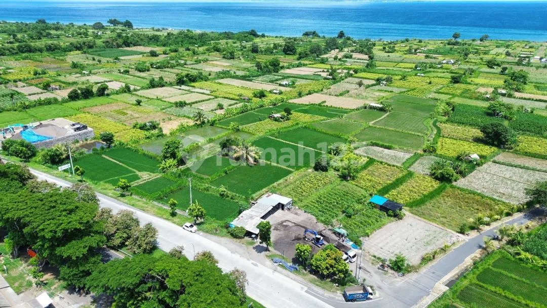 Tanah Premium 29 Are SHM Pinggir Jalan Utama Klungkung Bali - Image 4 of 4