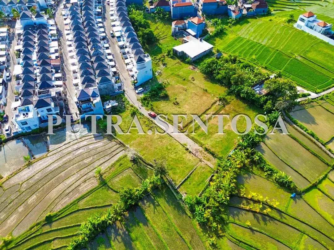 TANAH TUMBAK BAYUH MUNGGU LINGKUNGAN VILLA - Image 5 of 10