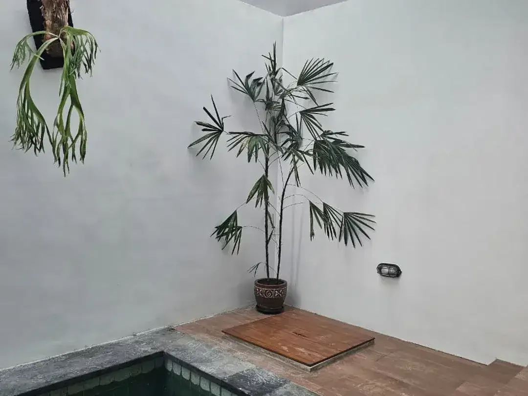 Jual Villa Siap Huni - Dharmawangsa, Kampial - Image 9 of 10