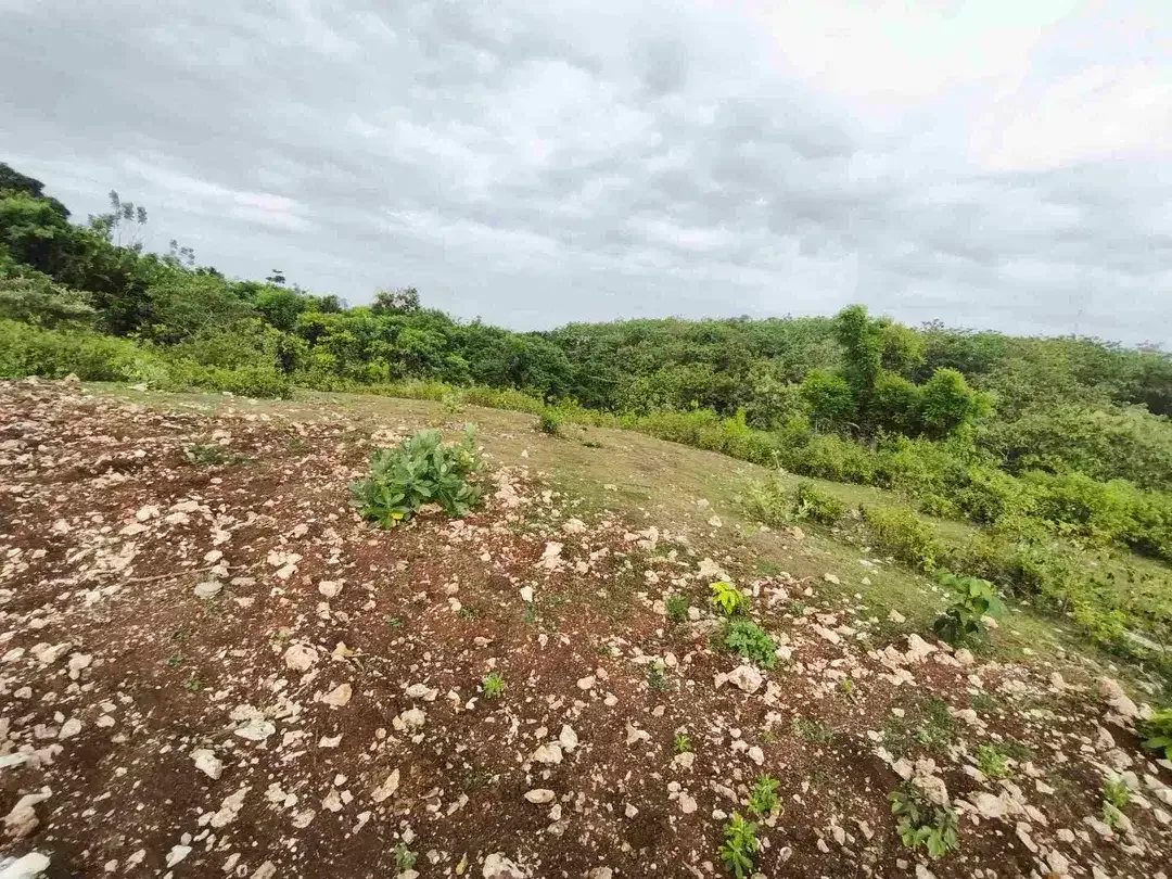 dijual tanah 400m² IDR 650 jutaper are dekat rektorat kampus unud jimbaran - Image 1 of 10