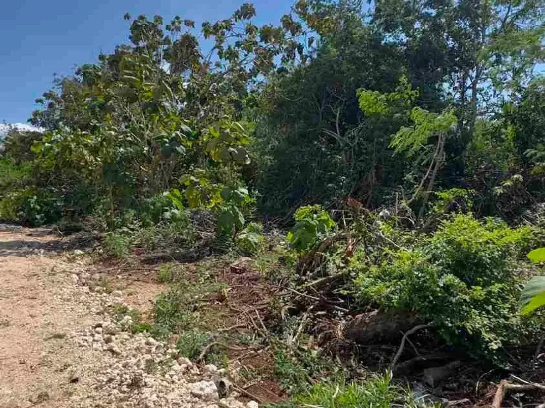 Dijual Murah Tanah 400m2 Cocok Untuk Investasi - Image 5 of 9
