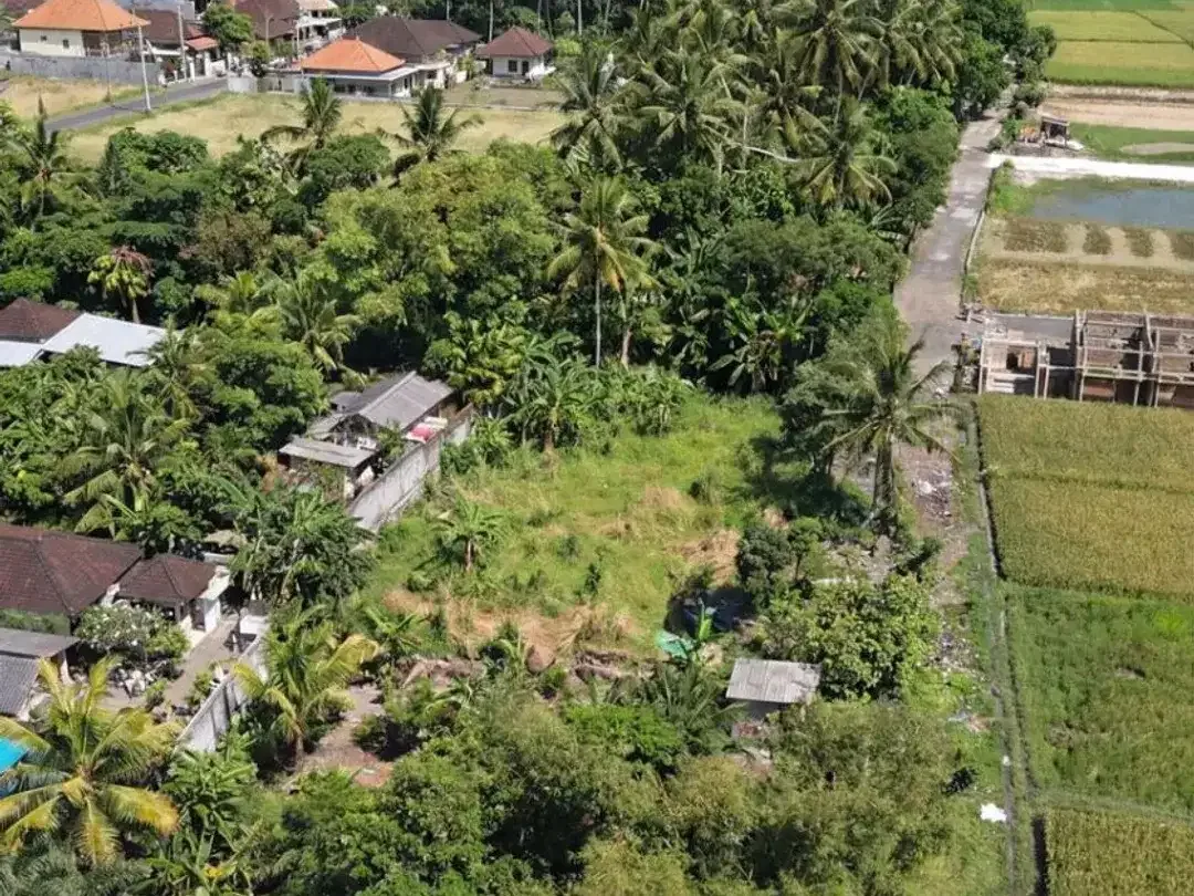 PRIME LAND OPPORTUNITY IN KEDUNGU LEASEHOLD - Image 5 of 5