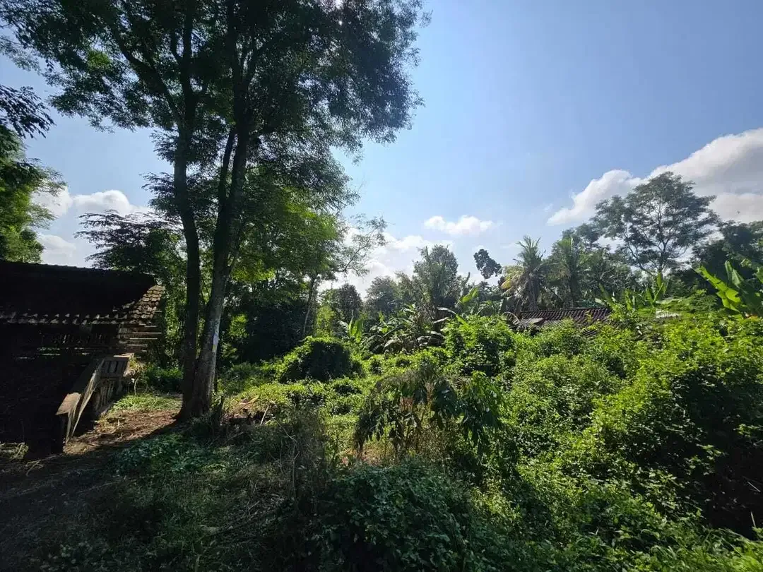 Dijual tanah murah los sungai bebatuan   di bali - Image 7 of 9