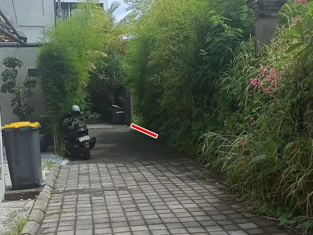 Land for rent in Jl Tegalsari, Berawa, Canggu - Image 4 of 5
