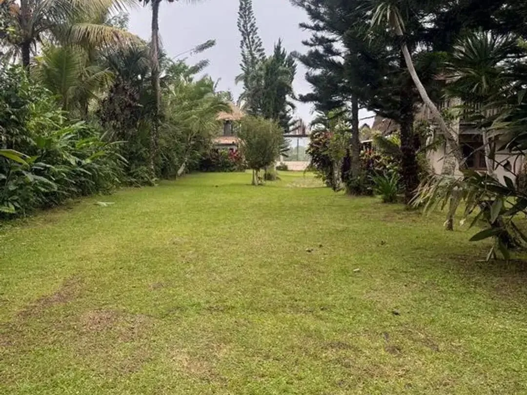 Tanah 36,5 Are View Sunrise Gunung Agung Dijual di Sebatu, Gianyar - Image 5 of 5