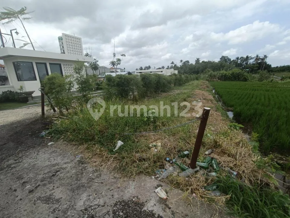 Tanah Premium Dekat Pantai Nyanyi Tabanan (Sy) - Image 4 of 4