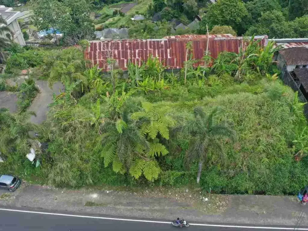 Tanah 6 Are Dijual di Baturiti, Dekat HOMM Saranam & Bali Handara Golf - Image 5 of 9