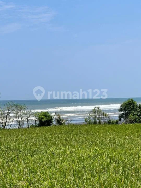 Murah! Tanah Luas 46 Are View Sawah, Laut dan Gunung Dekat Pantai Kelating, Tabanan - Image 3 of 4