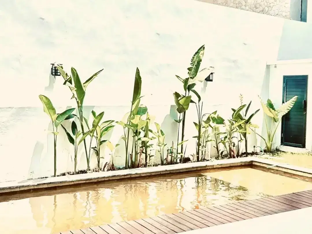 Freehold - Brand New Freehold Villa in Tumbak Bayuh, Canggu, Bali - Image 7 of 10