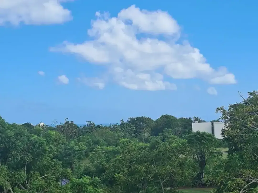 Tanah Kavling Hanya 800 Meter Ke Pantai Balangan Dijual - Image 3 of 4