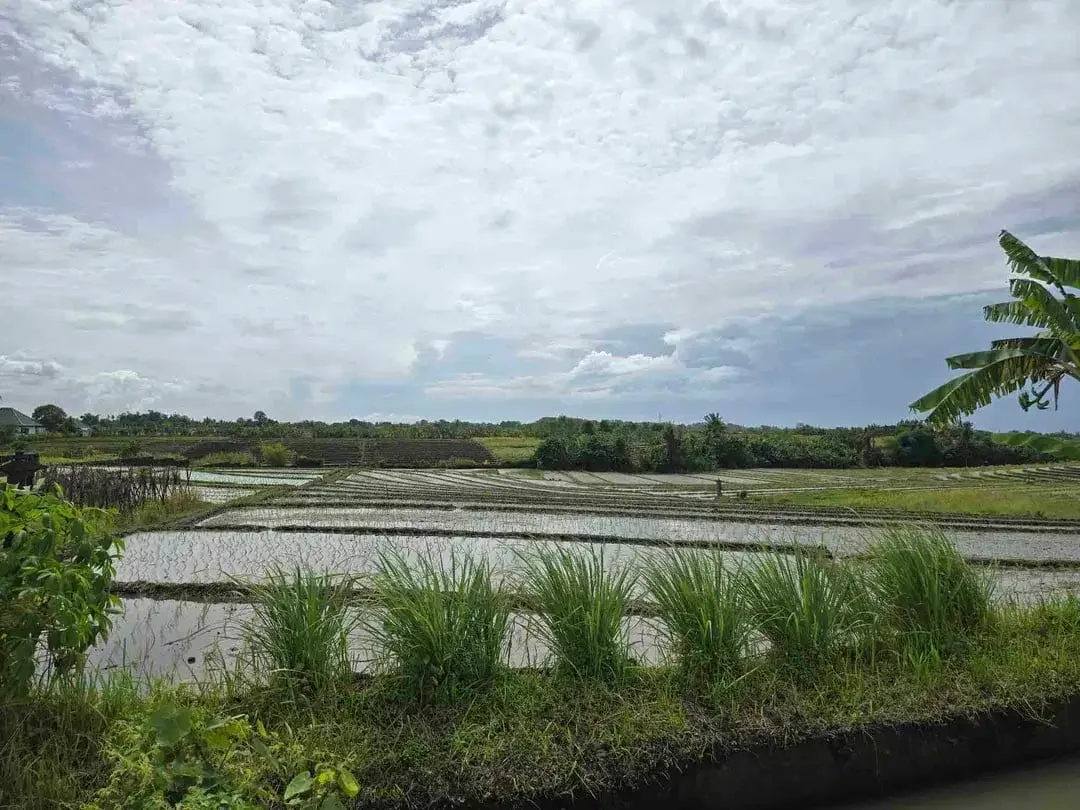 Dijual tanah kecil murah dekat pantai pasut tabanan bali - Image 4 of 10