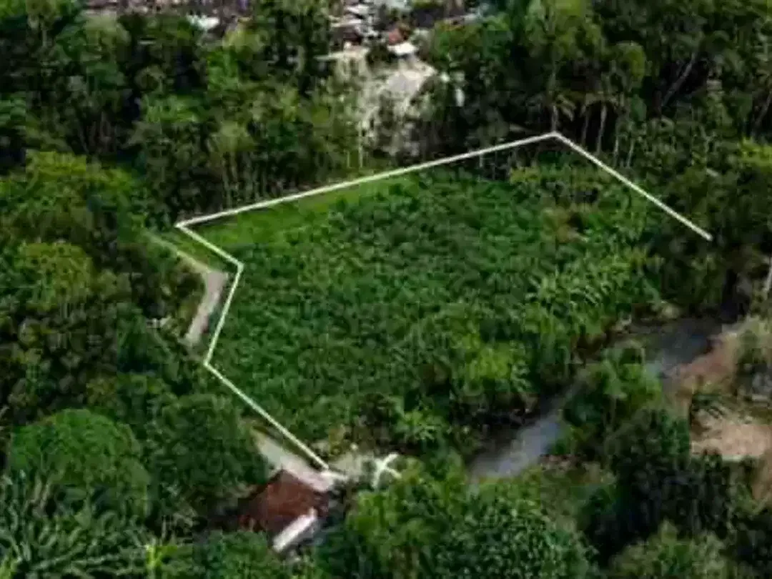 tanah 95 are tabanan cocok untuk bisnis Anda - Image 1 of 10