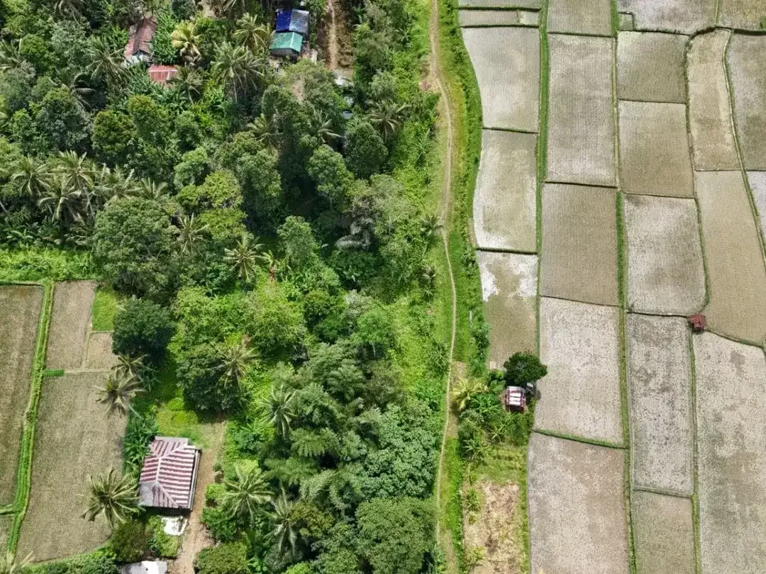 Rare! Tanah Kavling View Sawah – Lingkungan Asri, Legalitas Aman - Image 7 of 10