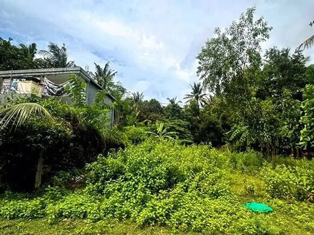 [AMS-018.DKA]  Tanah Premium Dijual Dekat Virgin Beach Bukit Asah Karangasem – Akses Langsung Pantai - Image 5 of 10
