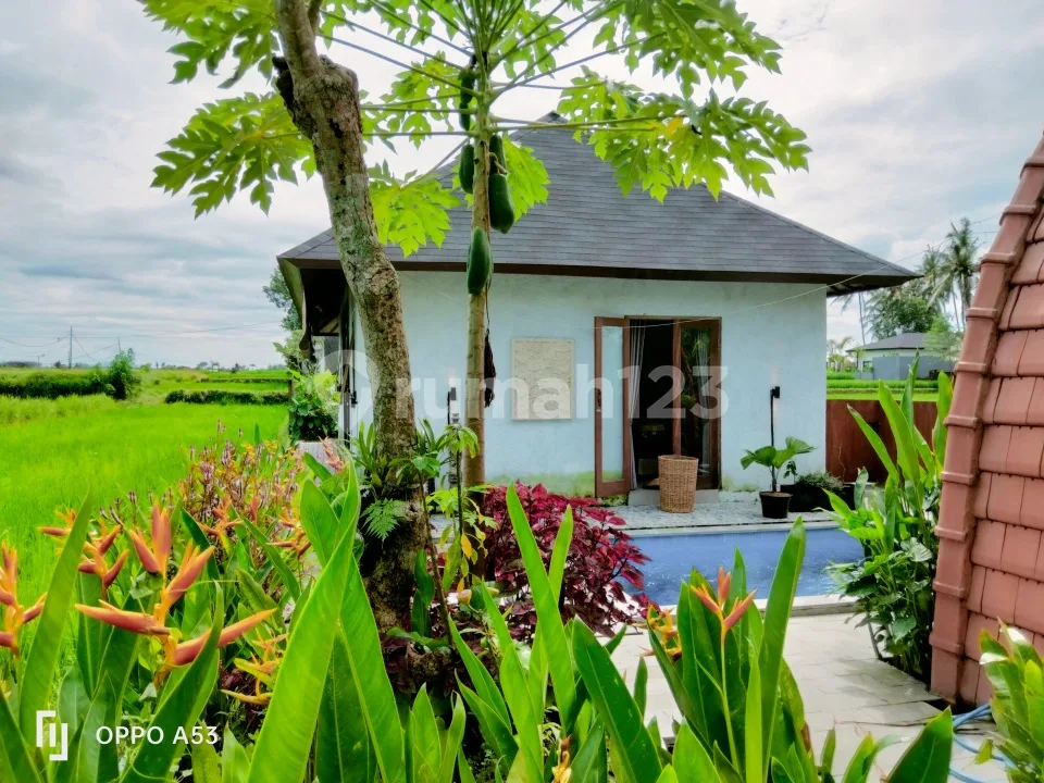 For Rent Villa Rice Field View Near Sentral Ubud Like A Piece Of Heaven - Image 4 of 4