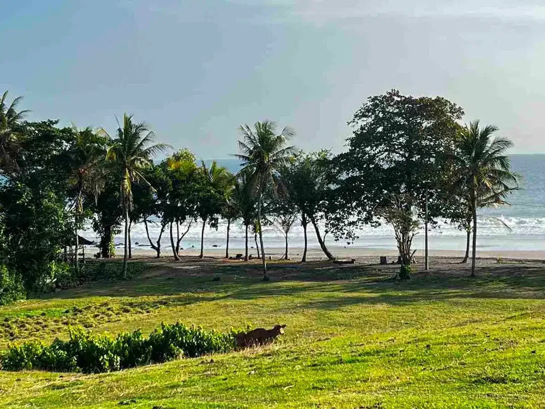 Jual tanah pantai kelecung tabanan bali - Image 7 of 10