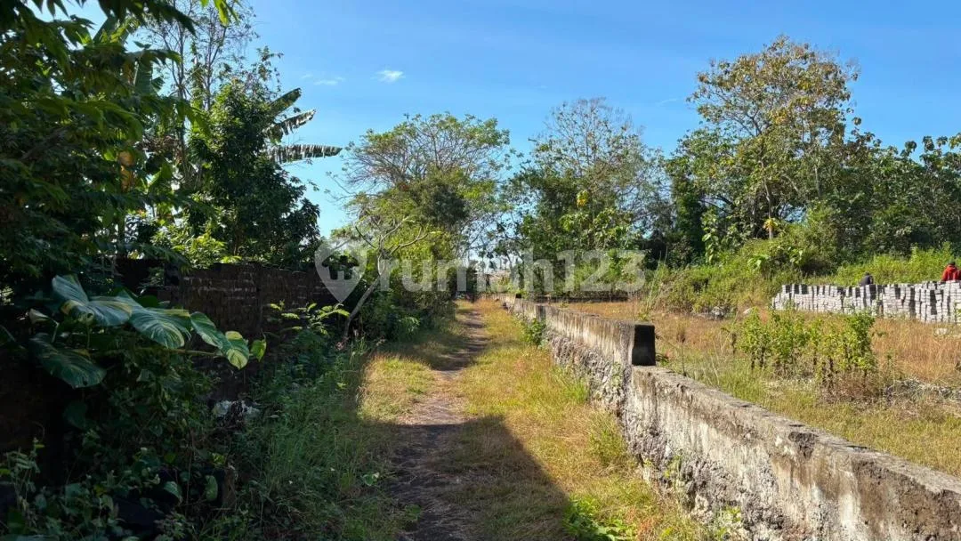 Tanah Plot Kecil Mumbul Nusa Dua 5 Menit Dr Gerbang Tol - Image 3 of 4