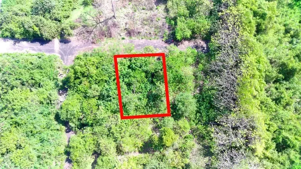 Dijual Cepat Tanah Lokasi di Kampial Nusa Dua - Image 5 of 6