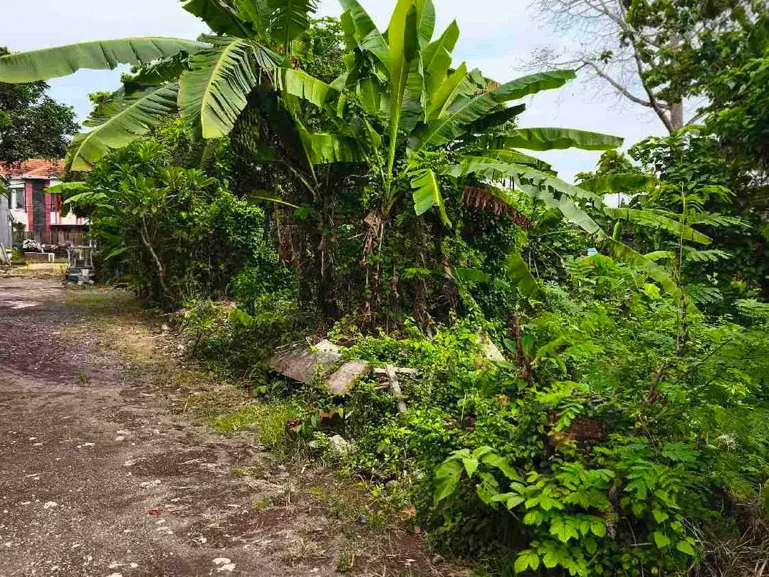 dijual tanah 4 are dekat Pepito taman griya Jimbaran Kuta Selatan Badung Bali - Image 6 of 7