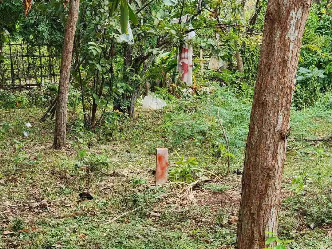 DIJUAL TANAH LUAS 2,34 HEKTAR DI KAWASAN AYANA JIMBARAN KUTA SELATAN BALI - Image 7 of 10