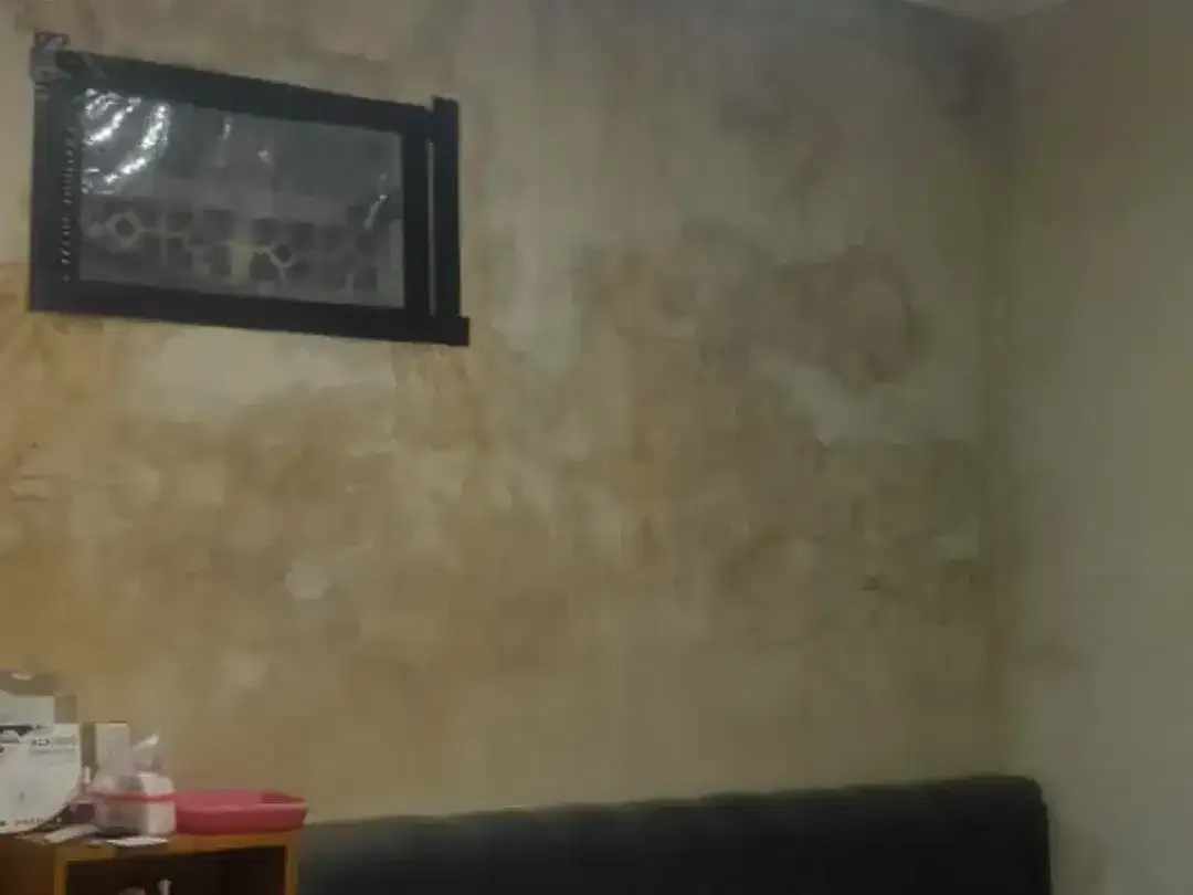 Dijual Rumah Minimalis 1 Lantai Lokasi Tenang di Batubulan, Gianyar. - Image 3 of 10