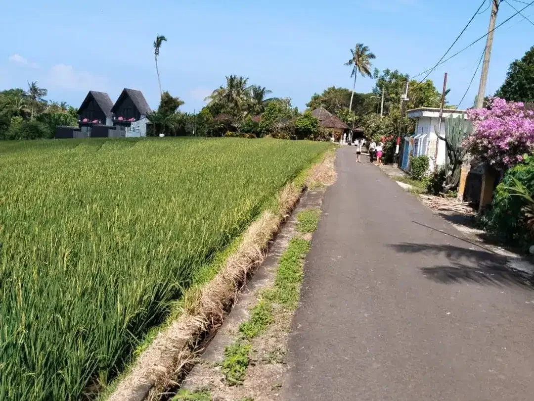 [Dijual] Tanah 72 Are, Jalan Batu Mejan, Tabanan - Dekat Pantai - Image 6 of 6