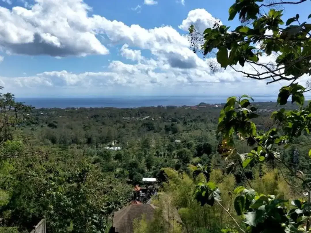 TANAH UNBLOCKED OCEAN VIEW LABUAN SAIT PECATU BADUNG - Image 9 of 10