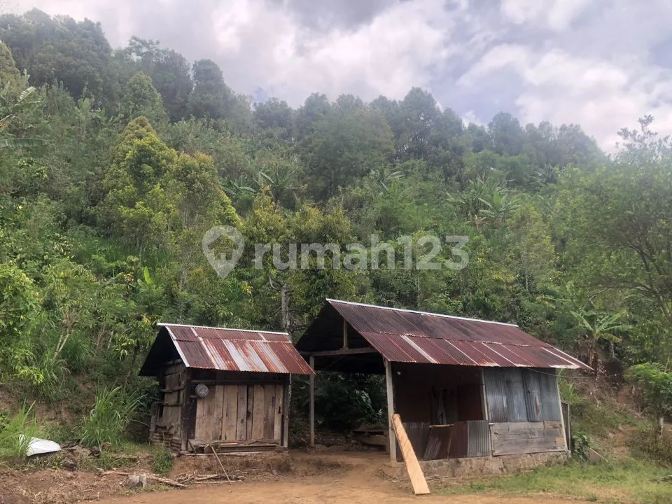 Murah 15 Jt Per Are Tanah Kebun Subur Punya Mata Air Sawan Buleleng Bali - Image 1 of 4