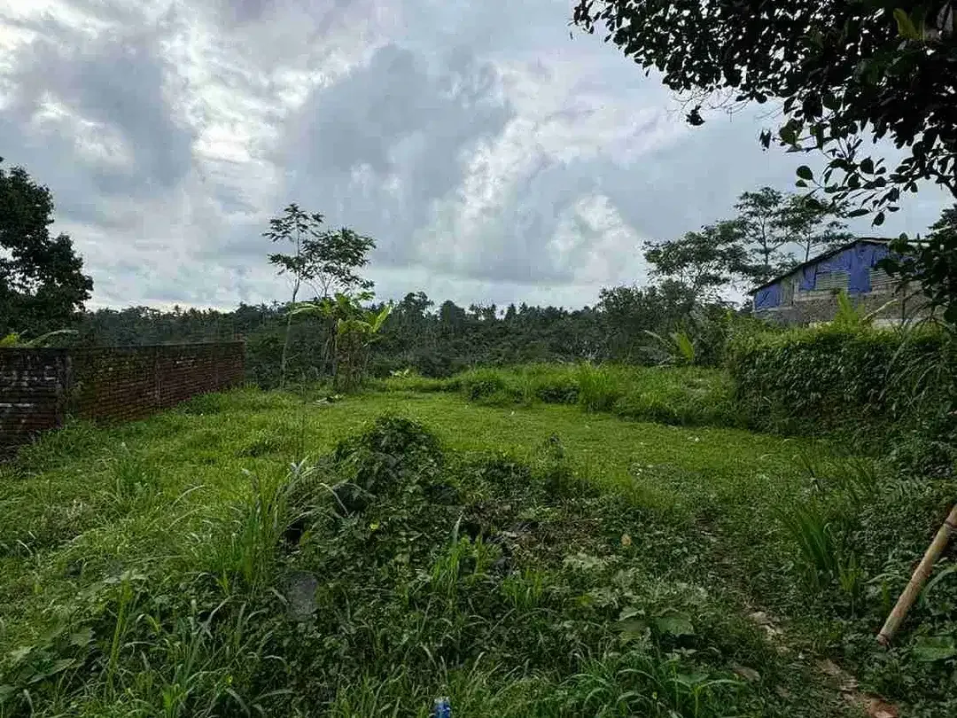 Tanah Premium Jalan Utama Tegalalang Full View Jungle - Image 5 of 9